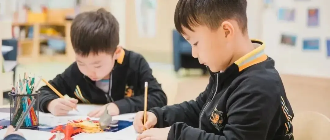 教育焦点 | 跟随STEAM学科学习探索世界